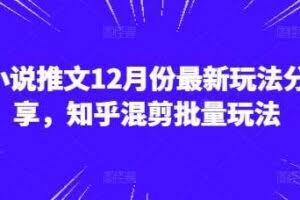 小说推文12月份最新玩法分享，知乎混剪批量玩法