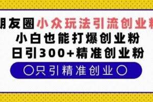 朋友圈小众玩法引流创业粉，小白也能打爆创业粉，日引300+精准创业粉【揭秘】