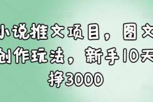 小说推文项目，图文创作玩法，新手10天挣3000