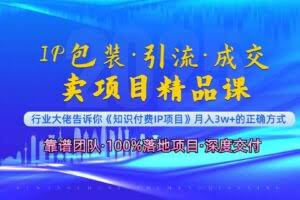 （13780期）《IP包装·暴力引流·闪电成交卖项目精品课》如何在众多导师中脱颖而出？