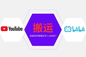 （13795期）纯搬运引流日进300粉，月入10w级教程