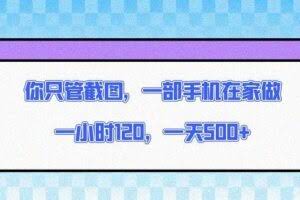 （13785期）你只管截图，一部手机在家做，一小时120，一天500+