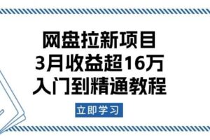 （13994期）网盘拉新项目：3月收益超16万，入门到精通教程
