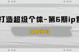 （14014期）打造 超级个体-第6期ip营：商业认知,产品设计,成交演练,解决知识变现难题
