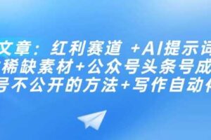 付费文章：红利赛道 +AI提示词 +批量找稀缺素材+公众号头条号成功起号不公开的方法+写作自动化