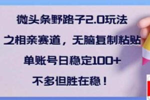 （14334期）微头条野路子2.0玩法之相亲赛道，无脑搬砖复制粘贴，单账号日稳定300+…