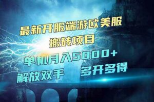 （14516期）全网热门游戏欧美服端游搬砖，最新开服，项目红利期，单机月入5000+