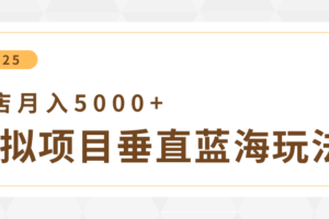 4月虚拟项目垂直玩法，冷门爆品+垂直蓝海，单店月入5000+