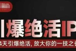 引爆绝活IP训练营，14天引爆绝活，放大你的一技之长