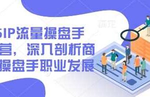 2025IP流量操盘手训练营，深入剖析商业IP操盘手职业发展