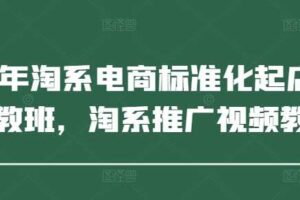 2025年淘系电商标准化起店流程私教班，淘系推广视频教程