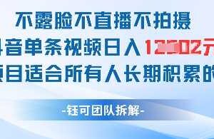 不露脸不直播不拍摄抖音单条视频日入1k+这个项目适合所有人长期积累的项目