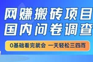 网创搬砖项目，国内问卷调查，小白轻松上手，一天三四张的也不难，干就完了【揭秘】