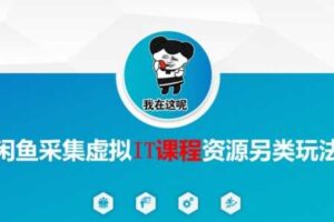 闲鱼采集虚拟IT课程资源另类玩法，干货满满