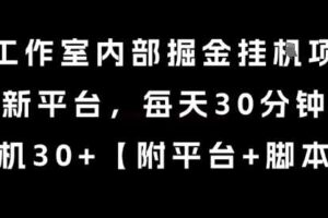 某工作室内部掘金挂G项目，新平台，每天30分钟，单机30+【揭秘】