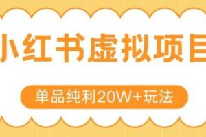 小红书卖虚拟产品，单品纯利20W+玩法分享，4节系列课程