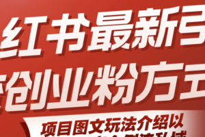 小红书最新引流创业粉方式，项目图文玩法介绍以及如何安全倒流私域