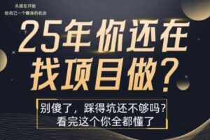 25年，你还在疯狂的找项目吗？别傻了，看完这个你都懂了【揭秘】