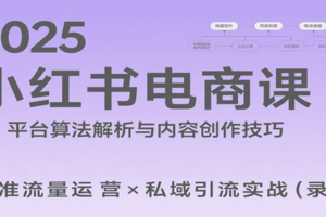 2025小红书电商课：解析算法，创作高转化内容，助力卖家获取流量实现变现（录音）