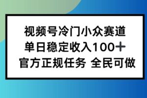 （16234期）视频号小众赛道，单日稳定收入100+，适合所有人