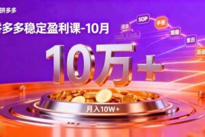 （16413期）拼多多稳定盈利课-10月，强付费SOP+微付费高投产+活动矩阵，单店月入10万+