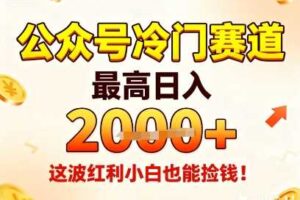 公众号冷门赛道，最高日入1k+，这波红利小白也能捡钱！
