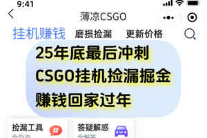用CSGO游戏挂机捡漏掘金赚钱掘金,一部手机轻松日入500+