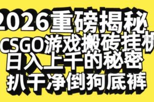 2026开年重磅解密，CSGO游戏搬砖挂G日入1k+的秘密，把倒狗的底裤扒干【揭秘】