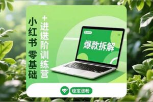 (16801期)小红书零基础+高阶训练营:安全养号、爆款拆解、长效运营,实现稳定涨粉与变现