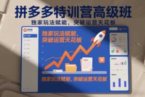 拼多多特训营高阶班，独家玩法赋能，突破运营天花板（更新26年1月）