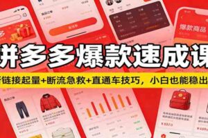 拼多多爆款速成课：新链接起量+断流急救+直通车技巧，小白也能稳出单