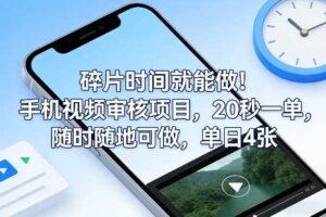 碎片时间就能做！手机视频审核项目，20秒一单，随时随地可做，单日4张+【揭秘】