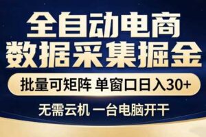 全自动电商数据集掘金，批量可矩阵，单窗口日入30+，无需云机，一台电脑开干【揭秘】