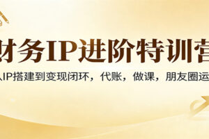 财务IP进阶特训营:从IP搭建到变现闭环,代账,做课,朋友圈运营