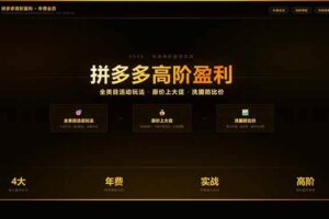 （17779期）拼多多高阶盈利年费会员：全类目活动玩法、原价上大促、洗图防比价等核心盈利技术(更新26年3月)