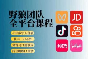 野狼团队2026新版全平台短视频带货教学，打开流量突破口，开始Ai带货（更新26年3月20日）