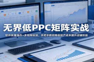 无界低PPC矩阵实战：软件批量操作+多矩阵玩法，手把手教你降低投产成本提升店铺效益