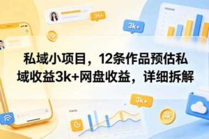 私域小项目，12条作品预估私域收益3k+网盘收益，详细拆解