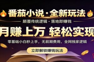 番茄小说5月最新独家玩法,稳定落地实测月入过万!