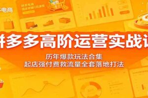 拼多多高阶运营实战课:历年爆款玩法合集,起店强付费救流量全套落地打法